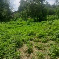 ۵۰۰متر زمین مسکونی سند دار با پروانه