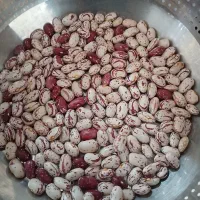 خرید وفروش لوبیا