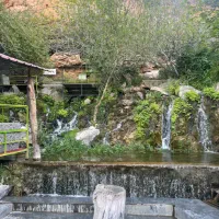نیازمند  آشپز و یا کمک آشپز   و نیروی ساده