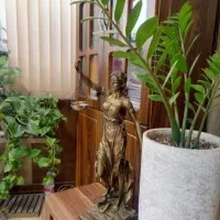 وکیل پایه یک دادگستری در شهر اراک