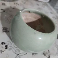 تعدادی گلدان کوچک