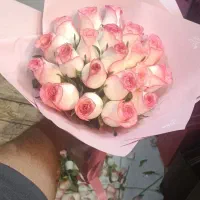 گل طاووس