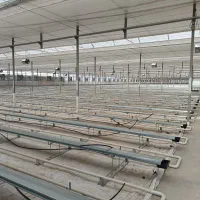 تجهیزات گلخانه ای مه پاش صنعتی.پدسلولزی.فن(هواکش)