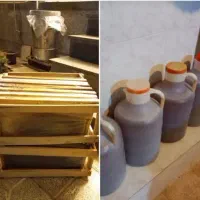 عسل/گرده گل