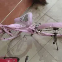 (۲۰)