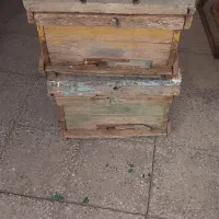 کندو|حیوانات مزرعه|بروجرد, |دیوار