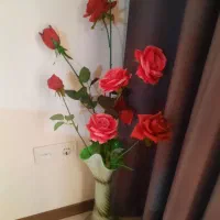 دکوری|کلکسیون اشیاء عتیقه|مشهد, سجادیه|دیوار