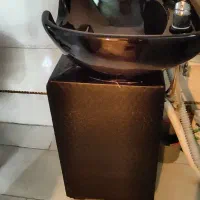 سرشور ایستاده