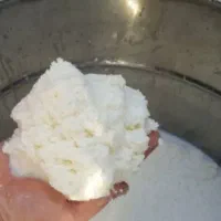 کره گوسفندی وگاوی