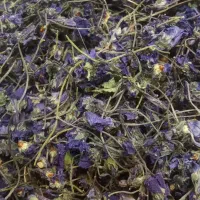 گل بنفشه اعلاء ارسال به سراسر ایران