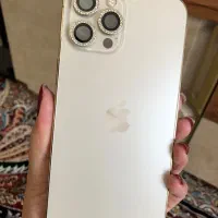 12pro max