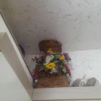 دسته گل درحدنو