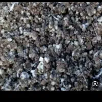 بار کبوتر کود کبوتر