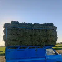 فروش یونجه