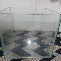اکوارویم
