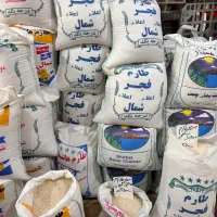برنج کشت دو درجه یک و خوش پخت