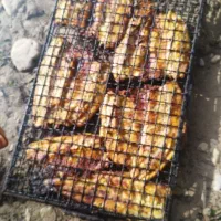 ماهی قزل آلا