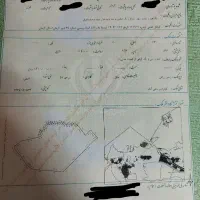 40قصب هفت باغ کوثر خیز سندتک برگ
