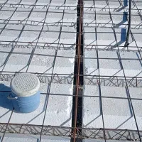 نیروی آرموتور بندی