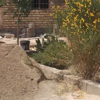 فروش باغ واقع درراستای منشیان (حسین آباد)|فروش خانه و ویلا|تهران, فرودگاه مهرآباد|دیوار