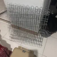 پارک سگ
