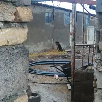 سگگ|سگ|الیگودرز, |دیوار