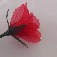 ساخت انواع گل و گلسر  ، شادباش