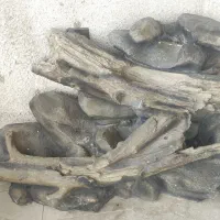 آبنمای زیبا و طبیعی