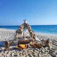 سورپرایز عزیزان خود را به ما بسپارید