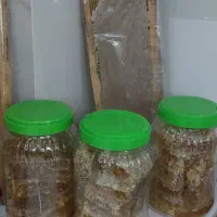 عسل  سبلان  هم تک هم عمده با تخفیف ویژه