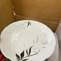 ظروف شیشه ای اوپال