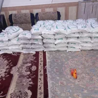 علی اباد کتول مینودشت شمال برنج درجه یک