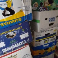 تعداد۱۴عددکارتون موزمحکم