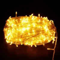 ریسه سوزنی