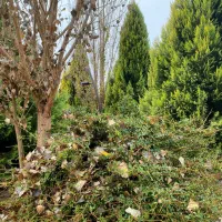 بار برای بم امروز و فردا از کرمان