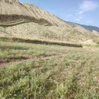 زمین|فروش زمین و ملک کلنگی|آبدانان, |دیوار
