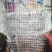 پارک حیوانات