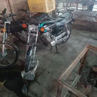 تکتاز 89ملی شیبان