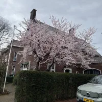 طبقه همکف