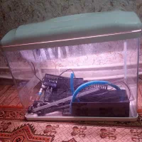 آکواریوم شرکتی خم مارک دلسا