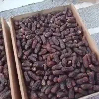 فروش عمده خرما پیارم