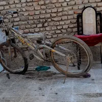 دوچرخه کمک دار نقره ای