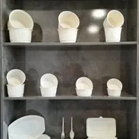 ظروف یکبار مصرف گیاهی