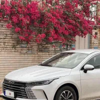 بی وای دی دیسترویر 2025 برقی بنرینی (هیبرید)