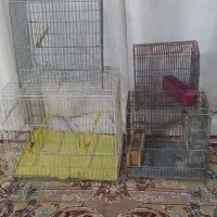 معاوضه قفس