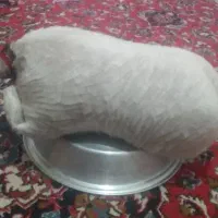 خیگ تمیز بدون پارگی