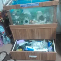 اکواریم با تجهیزات کامل