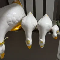سلام چهار عدد قو