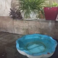 حوض