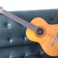 گیتار دست ساز استاد روغنی